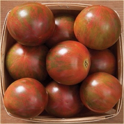 Nasiona Pomidor koktajlowy szt.5 Nxx24