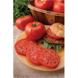 Nasiona Pomidor Befsztyk szt.5 Nxx19