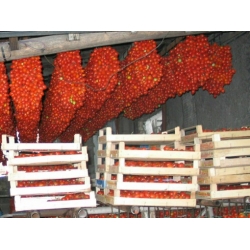 Nasiona Pomidor Piennolo Del Vesuvio szt.6 Nxx711