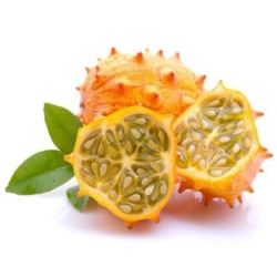 Nasiona Melon Rogaty, Melon Rogaty, Kiwano Cucumis metulifer