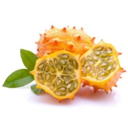 Nasiona Melon Rogaty, Melon Rogaty, Kiwano Cucumis metulifer