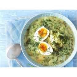 Nasiona Szczaw jadalny ogrod szt.10 Nxx504