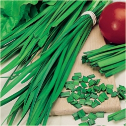 Nasiona Szczypiorek chiński no GMO szt.5 Nxx466