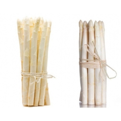 Nasiona Szparag jadalny szt.5 N101