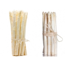 Nasiona Szparag jadalny szt.5 Nxx101