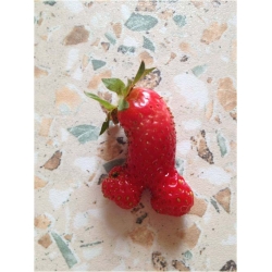 Nasiona Truskawka czerwony penis  szt.5 Nxx297