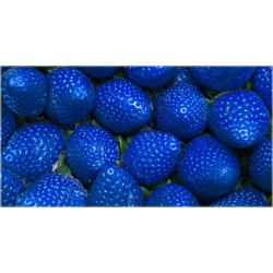 Nasiona Truskawka Niebieska szt.5 Nxx59