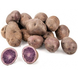 Nasiona Ziemniak fioletowy szt.5 N408