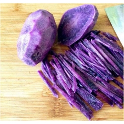 Nasiona Ziemniak fioletowy szt.5 Nxx408