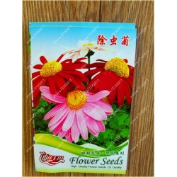 Nasiona Złocień mix szt.5 Nxx354