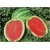 Nasiona Arbuz czerwony bez pestek szt.5 Nxx133