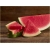 Nasiona Arbuz czerwony bez pestek szt.5 Nxx133