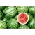 Nasiona Arbuz ogrodowy szt.5 Nxx255