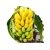Nasiona Banan doniczkowy szt.10 N190