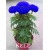 Nasiona Chryzantema niebieska szt.5 Nxx393
