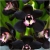 Nasiona Orchidea Czarna szt.10 Nxx166