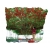 Nasiona Drzewo pomidorowe szt.5 N256