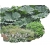 Nasiona Gunera parzeplin największe liście szt.5 N632