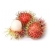 Nasiona Jagodzian Rambutan szt.3 Nxx546