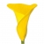 Nasiona Kalia żółta szt.5 N443