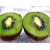 Nasiona Kiwi mini jadalne szt.5 Nxx142