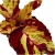 Nasiona Koleus żółto-czerwony szt.5 N306