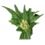 Nasiona Konopie zielone szt.5 N330
