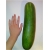 Nasiona Ogórek Gigant  szt.5 Nxx294