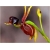 Nasiona Orchidea Latająca szt.5 Nxx313