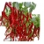Nasiona Papryka Chili Olbrzym szt.5 N41