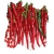 Nasiona Papryka długa Red Chilli szt.5 N307