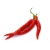 Nasiona Papryka długa Red Chilli  szt.5 Nxx307