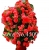 Nasiona Pelargonia pnąca czerwona szt.5 N397