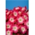 Nasiona Petunia czerwona szt.10 Nxx228