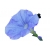 Nasiona Petunia jasnoniebieska Morning Glory szt.10 N607