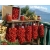 Nasiona Pomidor Piennolo z Wezuwiusza szt.5 Nxx703
