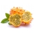 Nasiona Melon Rogaty, Melon Rogaty, Kiwano Cucumis metulifer