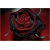 Nasiona Róża czarna z czerwonym szt.10 Nxx194