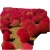 Nasiona Trawa czerwona szt.5 N257