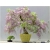 Nasiona Wisteria glicynia mini szt.3 Nxx81