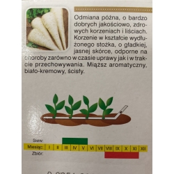 nasiona Pietruszka korzeniowa Ołomuńcka abex2
