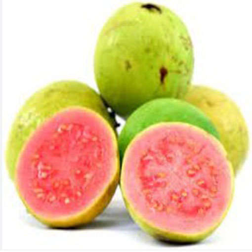 Guava czerwona Gujawa, gruszla, Psidium acranthum