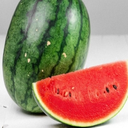 Nasiona Arbuz cukrowy Watermelon Afr29