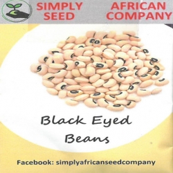 Nasiona Fasola Black Eyed Beans Afr12