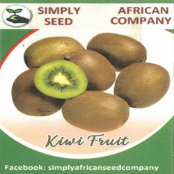 Nasiona Kiwi agrest chiński Afr13