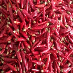Nasiona Papryka Thai Red Chilli ostra Afr32