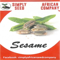 Nasiona Sezam łogowa Afr2