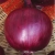 Nasiona Cebula czerwono-biała Afr4