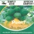 Nasiona Dwarf Papaya Melonowiec zielona Afr33