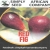 Nasiona Figa Red Fig figowiec Afr21